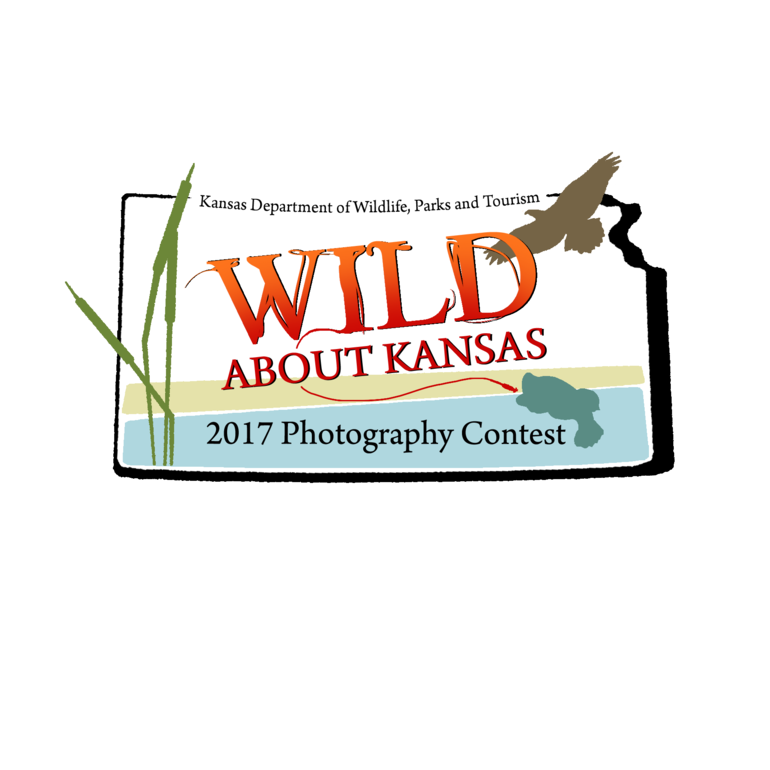 17 Photo Contest Logo