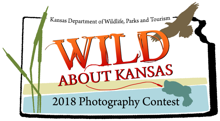 18 Photo Contest Logo