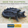 Alligator Snapping Turtle Reintroduction