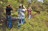 Birding Big Year Contest