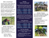 Brochure_Page_2