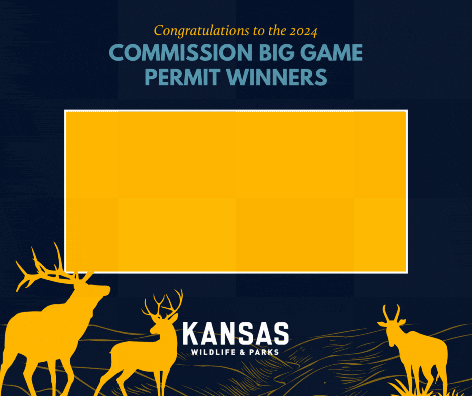 Commission Permit Winners