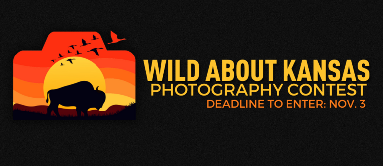 DEADLINE TO ENTER DEC. 2-1