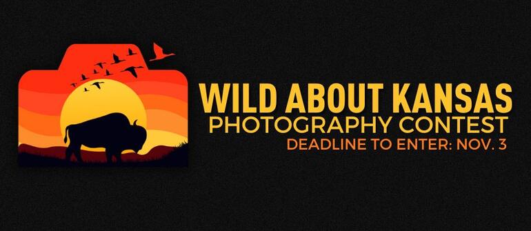 DEADLINE TO ENTER DEC. 2