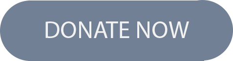 Donate button