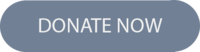 Donate button