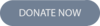 Donate button
