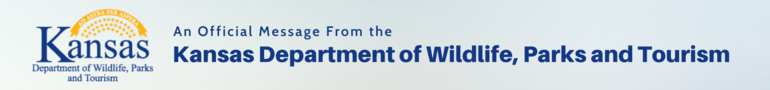 Email Header