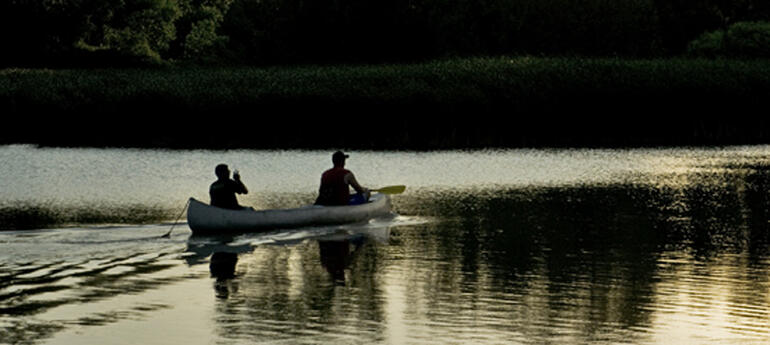 Glow Paddle news