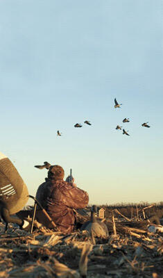 goosehuntweb3