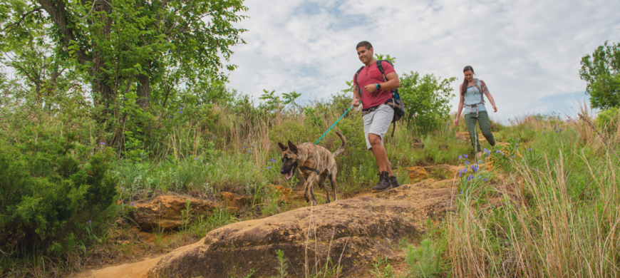 "Two hikers walk along a rocky trail through grassy terrain with scattered trees. One leads a dog on a leash, while the other follows behind under a partly cloudy sky.