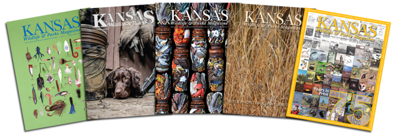 Magazine_Web_Covers