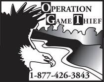 Operation Game Thief