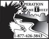 Operation Game Thief