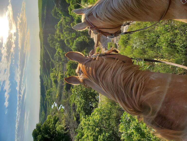 Over the Ears Photo Contest