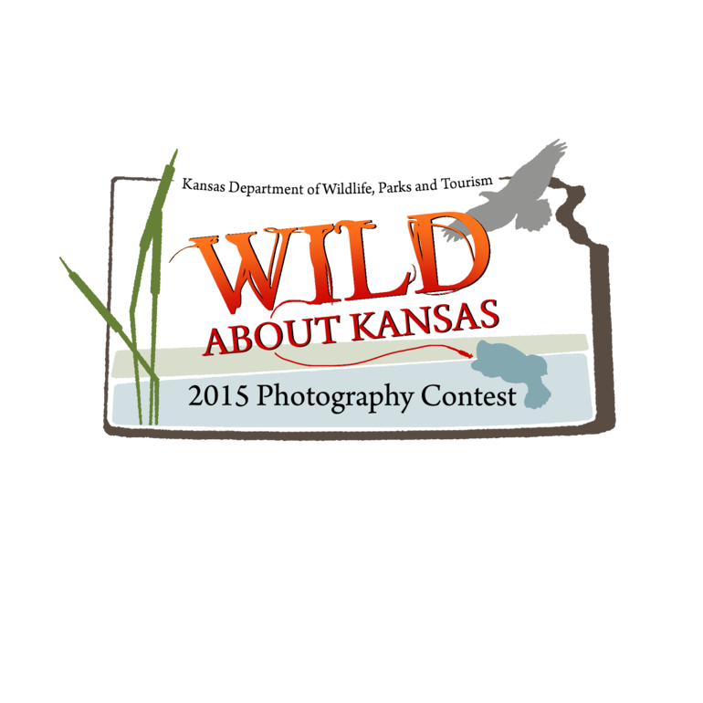Photo Contest Logo 2015