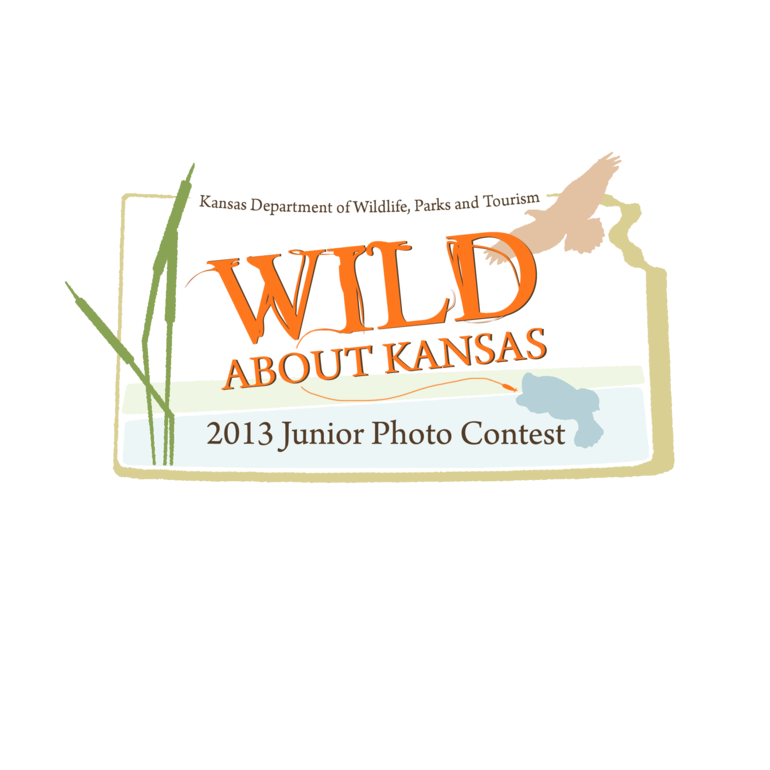 Photo Contest Logo
