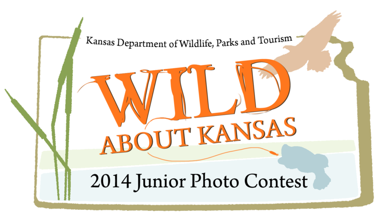 Photo Contest Logo