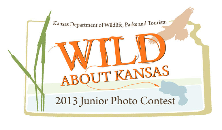Photo Contest Logo