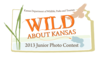 Photo Contest Logo