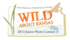 Photo Contest Logo