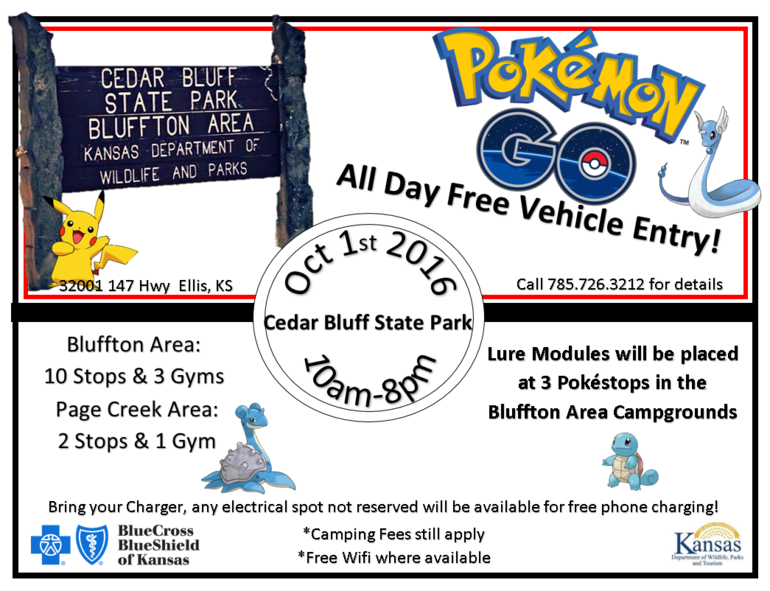 Pokemon Go in the Park Flyer