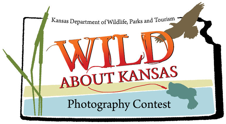 WAK 19 Photo Contest Logo