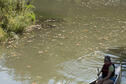 Intro to Canoeing 2