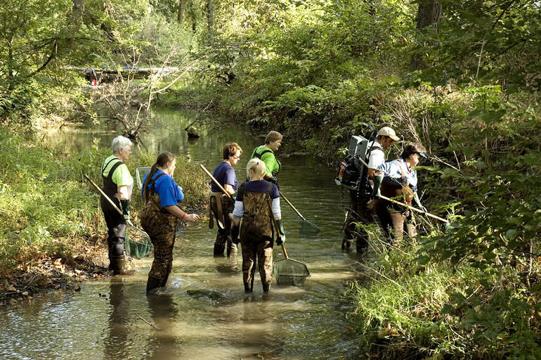 Stream Ecology