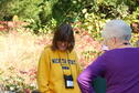 Dyeing with Native Plants 1