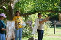 Dyeing with Native Plants 3