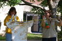Dyeing with Native Plants 6