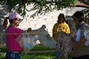 Dyeing with Native Plants 7