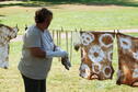 Dyeing with Native Plants 8