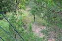 Rappelling 25
