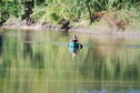Rolling Down the River 10