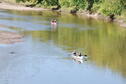 Rolling Down the River 5