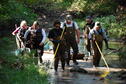 Stream Ecology 10