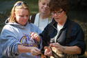 Stream Ecology 12