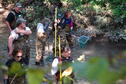 Stream Ecology 2