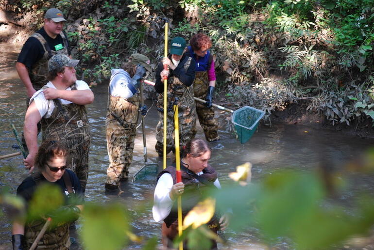 Stream Ecology 2