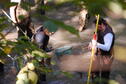 Stream Ecology 4