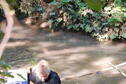 Stream Ecology 6