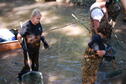 Stream Ecology 7