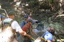 Stream Ecology 7