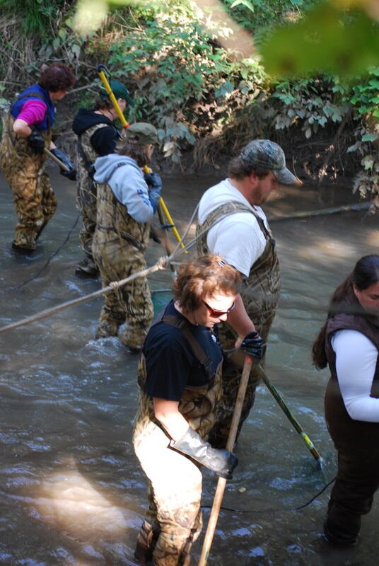 Stream Ecology 8
