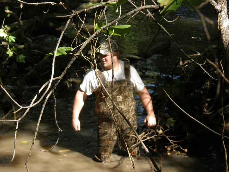 Stream Ecology 8