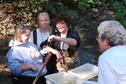 Stream Ecology 9