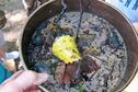 Stream Ecology B