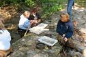 Stream Ecology C